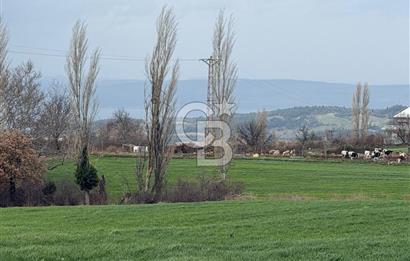 ÇANAKKALE MERKEZ KIZILKEÇİLİ DE İMARLI KOOPERATİF HİSSELERİ