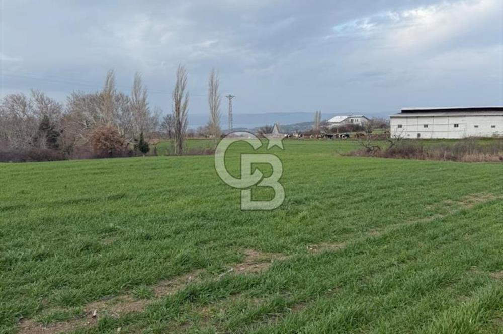 ÇANAKKALE MERKEZ KIZILKEÇİLİ DE İMARLI KOOPERATİF HİSSELERİ