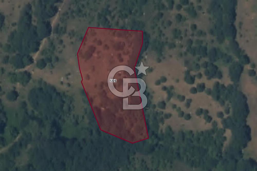 ÇANAKKALE BİGA SARISIVATTA KÖYE YAKIN 4,088 M² YATIRIMLIK TARLA
