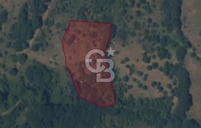 ÇANAKKALE BİGA SARISIVATTA KÖYE YAKIN 4,088 M² YATIRIMLIK TARLA