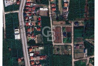 DÜZCE BEYKÖY' DE VİLLA İMARLI ARSA - 6 - 370084