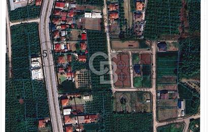 DÜZCE BEYKÖY' DE VİLLA İMARLI ARSA