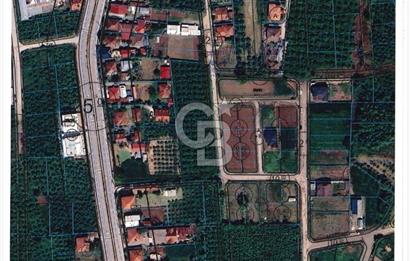 DÜZCE BEYKÖY' DE VİLLA İMARLI ARSA