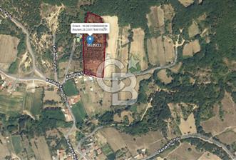 Susurluk Kalfaköyde Villalara Komşu 13 Dönüm Satılık Arazi - 1 - 370103