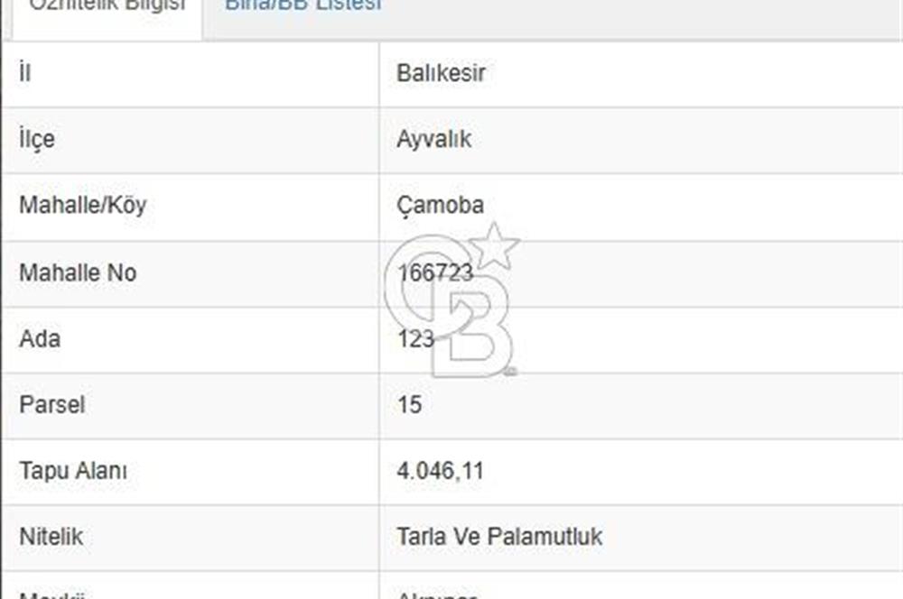 Ayvalık çamoba Köyü 4.046 metrekare palamutluk tarla