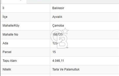 Ayvalık çamoba Köyü 4.046 metrekare palamutluk tarla