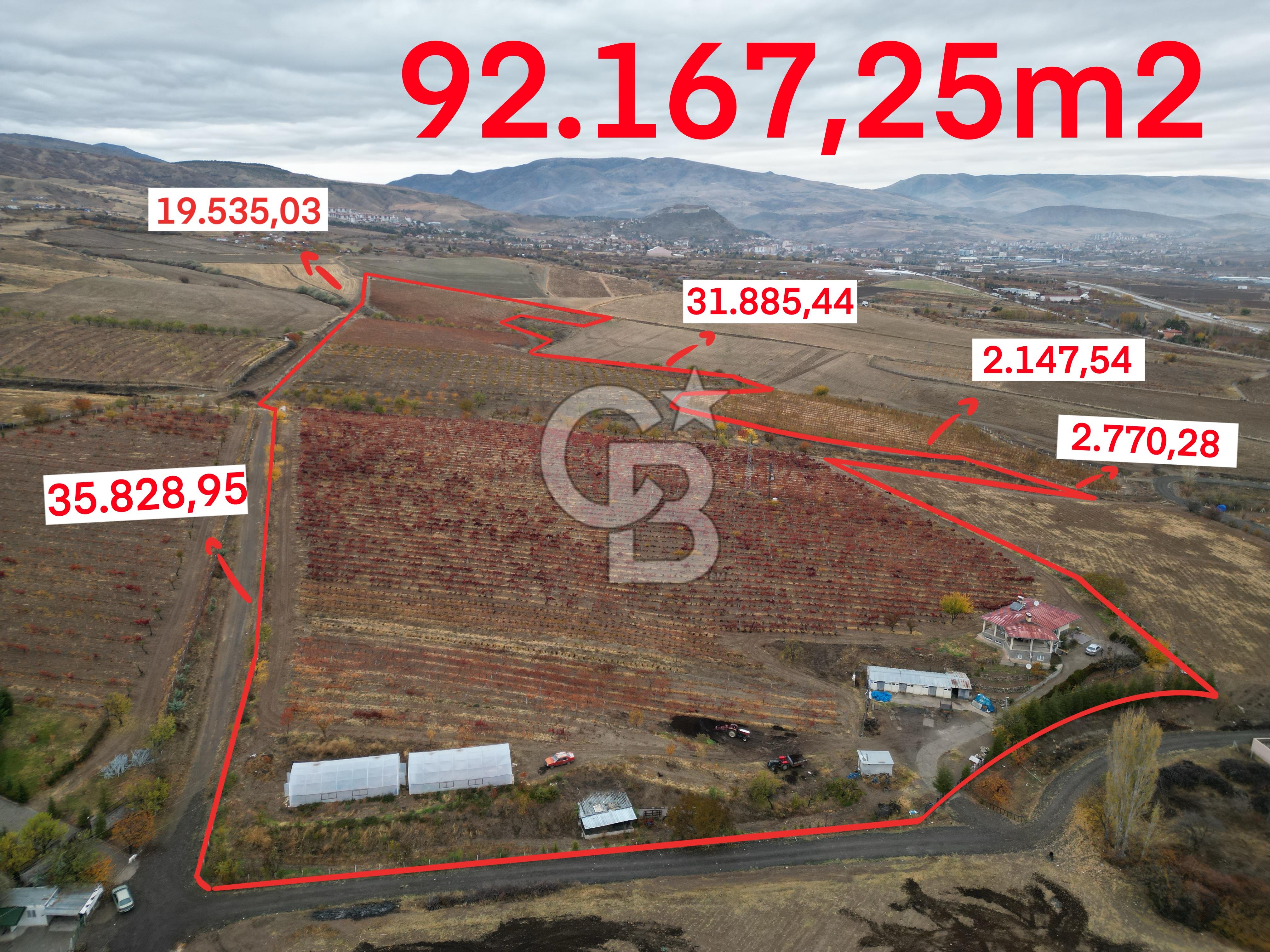 KALECİK ŞENYURT'TA EKİPMANLARIYLA SATILIK 92.167 m2 ÜZÜM BAĞI