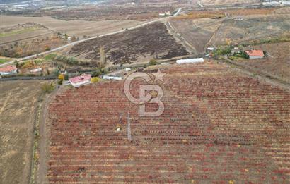 KALECİK ŞENYURT'TA EKİPMANLARIYLA SATILIK 92.167 m2 ÜZÜM BAĞI