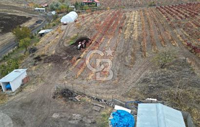 KALECİK ŞENYURT'TA EKİPMANLARIYLA SATILIK 92.167 m2 ÜZÜM BAĞI