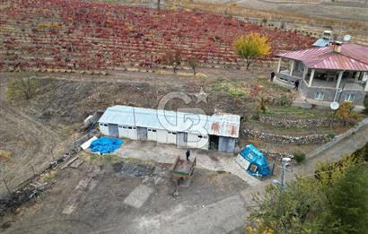 KALECİK ŞENYURT'TA EKİPMANLARIYLA SATILIK 92.167 m2 ÜZÜM BAĞI