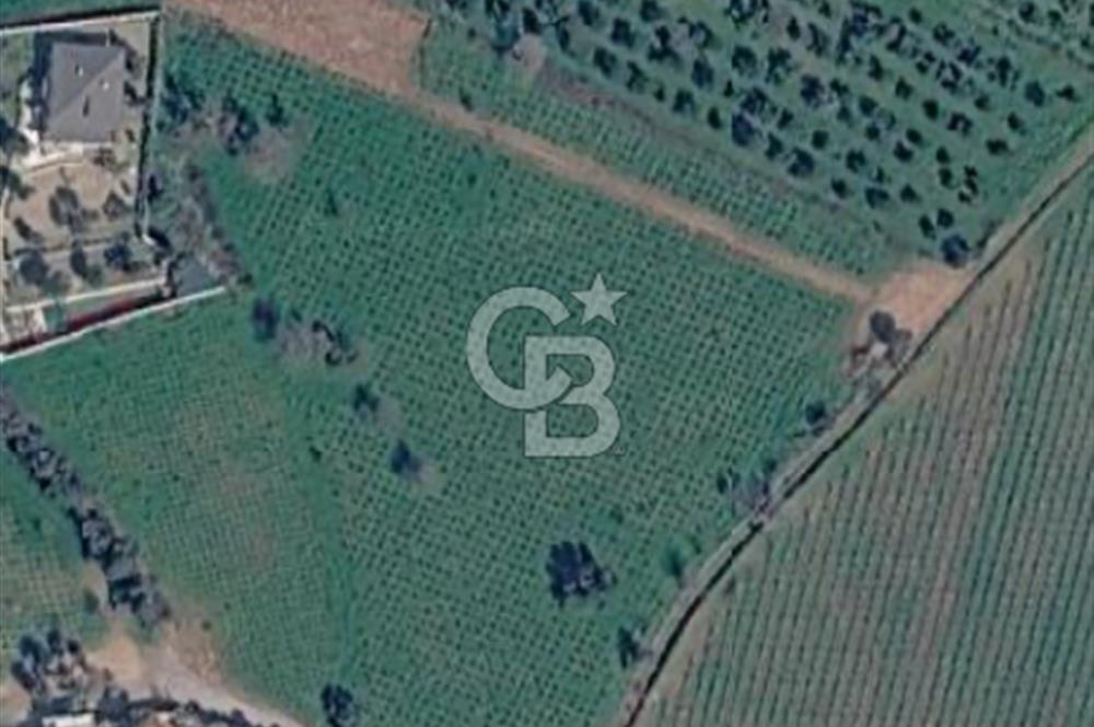 Menderes’in gelişen bölgelerinden Görece Mahallesi’nde, yatırım için kaçırılmayacak fırsat!