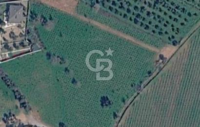 Menderes’in gelişen bölgelerinden Görece Mahallesi’nde, yatırım için kaçırılmayacak fırsat!