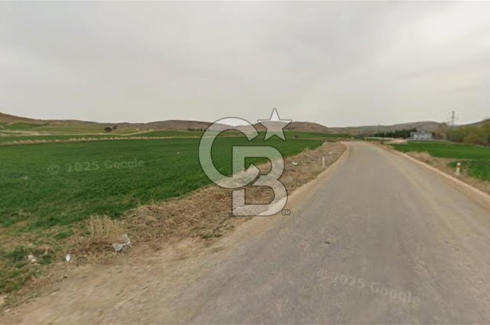 Karaömerli'de Oyaca İmar Sınırı 5000 m² Koop Hissesi