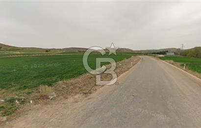 Karaömerli'de Oyaca İmar Sınırı 5000 m² Koop Hissesi