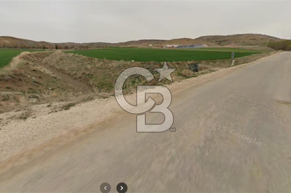 Karaömerli'de Oyaca İmar Sınırı 5000 m² Koop Hissesi