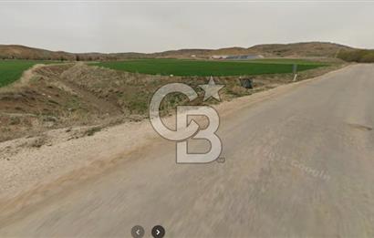 Karaömerli'de Oyaca İmar Sınırı 5000 m² Koop Hissesi
