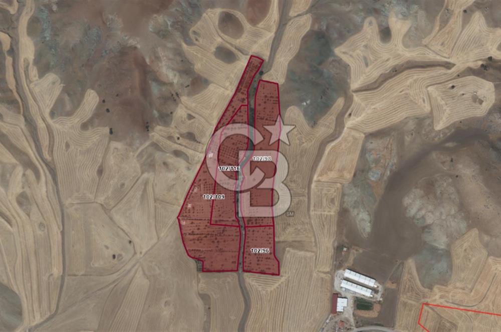 Karaömerli'de Oyaca İmar Sınırı 5000 m² Koop Hissesi