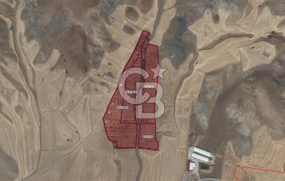 Karaömerli'de Oyaca İmar Sınırı 5000 m² Koop Hissesi