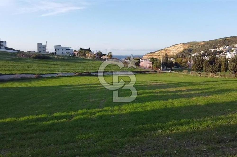 COLDWELL BANKER ODAK  GAYRİMENKUL' den SATILIK TARLA