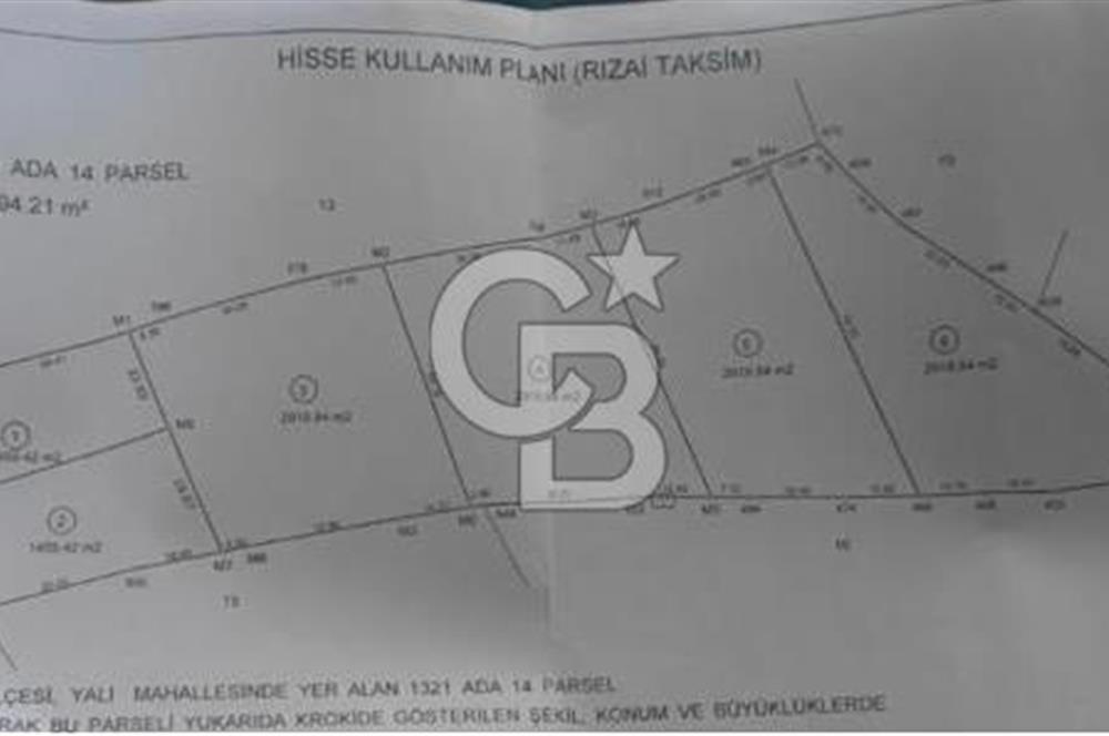COLDWELL BANKER ODAK  GAYRİMENKUL' den SATILIK TARLA