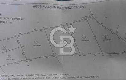 COLDWELL BANKER ODAK  GAYRİMENKUL' den SATILIK TARLA