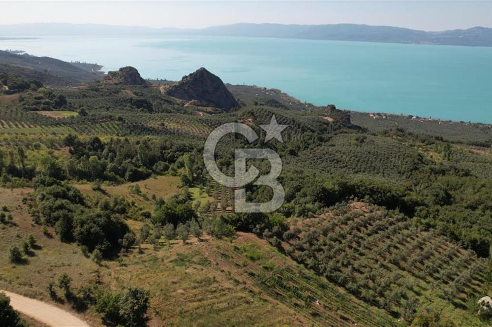 BURSA İZNİK GÖLLÜCE ANA YOLA CEPHELİ GÖL MANZARALI SATILIK ARSA