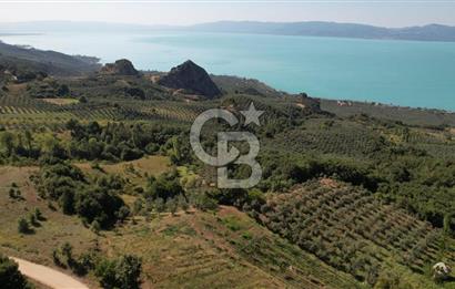 BURSA İZNİK GÖLLÜCE ANA YOLA CEPHELİ GÖL MANZARALI SATILIK ARSA