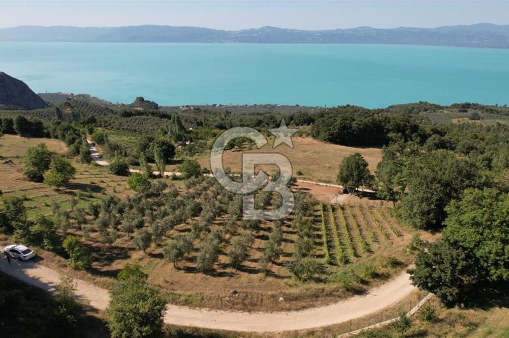BURSA İZNİK GÖLLÜCE ANA YOLA CEPHELİ GÖL MANZARALI SATILIK ARSA