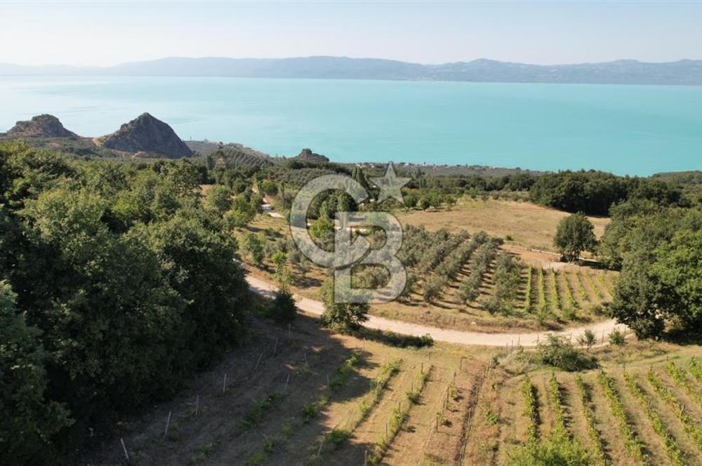 BURSA İZNİK GÖLLÜCE ANA YOLA CEPHELİ GÖL MANZARALI SATILIK ARSA