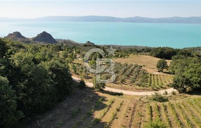 BURSA İZNİK GÖLLÜCE ANA YOLA CEPHELİ GÖL MANZARALI SATILIK ARSA