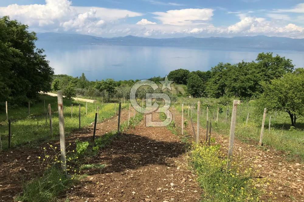 BURSA İZNİK GÖLLÜCE ANA YOLA CEPHELİ GÖL MANZARALI SATILIK ARSA