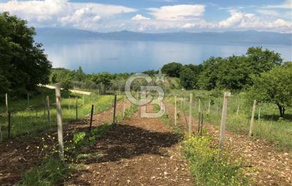 BURSA İZNİK GÖLLÜCE ANA YOLA CEPHELİ GÖL MANZARALI SATILIK ARSA