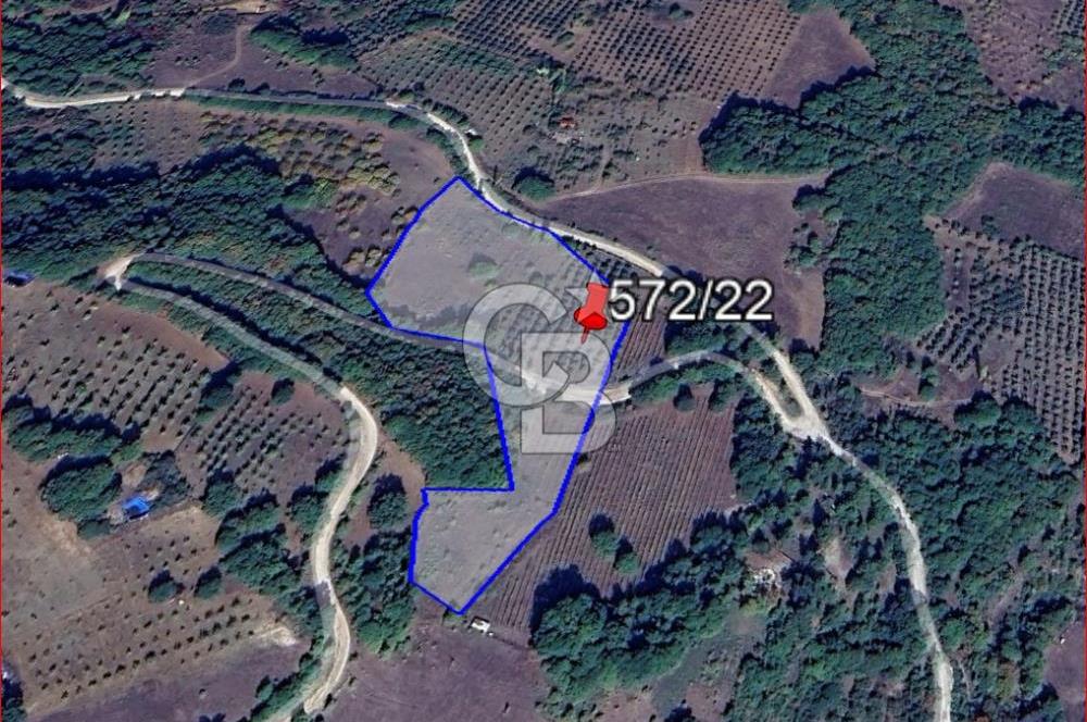 BURSA İZNİK GÖLLÜCE ANA YOLA CEPHELİ GÖL MANZARALI SATILIK ARSA