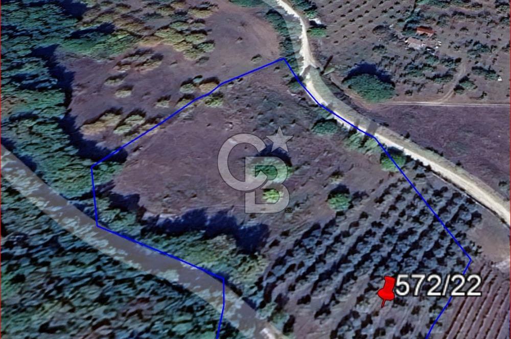 BURSA İZNİK GÖLLÜCE ANA YOLA CEPHELİ GÖL MANZARALI SATILIK ARSA