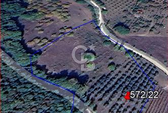 BURSA İZNİK GÖLLÜCE ANA YOLA CEPHELİ GÖL MANZARALI SATILIK ARSA - 1 - 370164