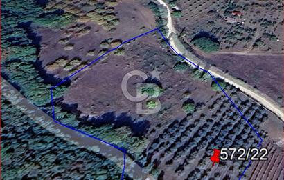 BURSA İZNİK GÖLLÜCE ANA YOLA CEPHELİ GÖL MANZARALI SATILIK ARSA