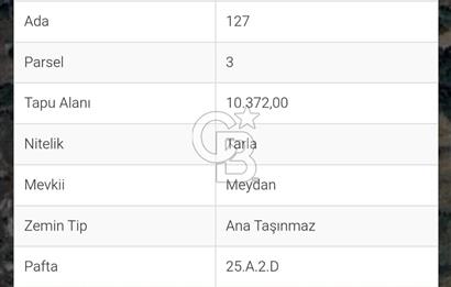 ANTALYA AKSEKİ EMİRAŞIKLAR'DA SATILIK TEK TAPULU TARLA