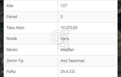 ANTALYA AKSEKİ EMİRAŞIKLAR'DA SATILIK TEK TAPULU TARLA