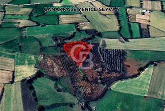 ÇANAKKALE YENICE‘DE 4700 METRE² YATIRIMLIK TARLA - 1 - 370198