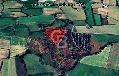 ÇANAKKALE YENICE‘DE 4700 METRE² YATIRIMLIK TARLA