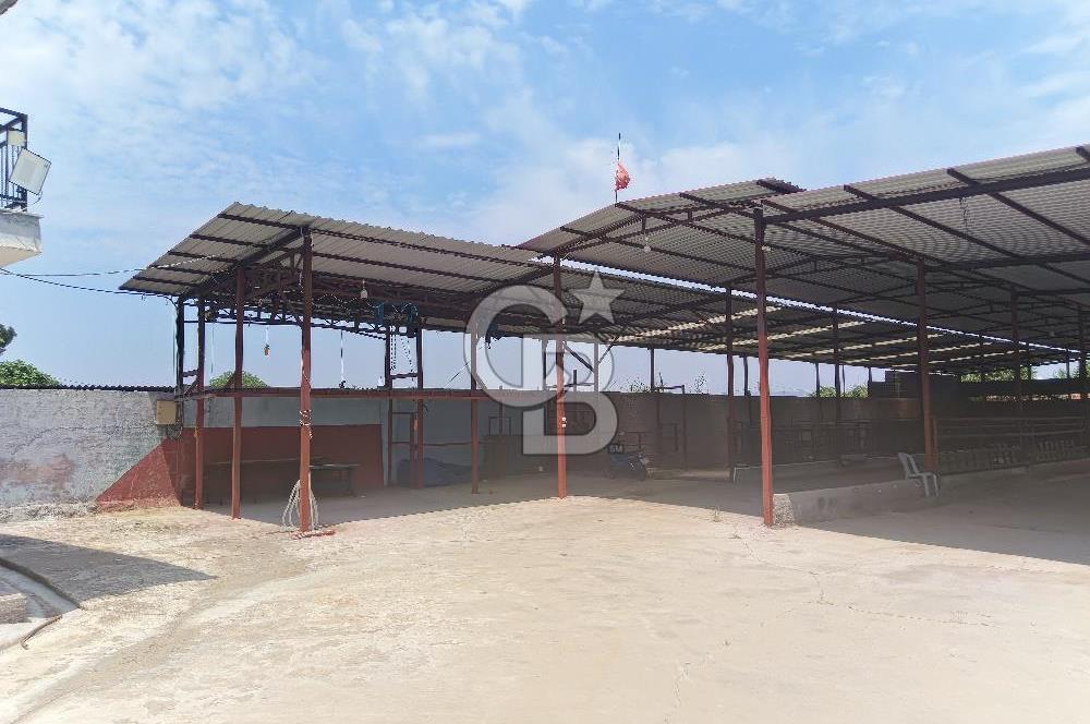 MANİSA AHMETLİ İLÇESİ YARAŞLI MAH. DE SATILIK RUHSATLI ÇİFTLİK