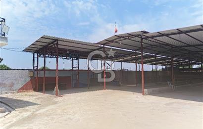 MANİSA AHMETLİ İLÇESİ YARAŞLI MAH. DE SATILIK RUHSATLI ÇİFTLİK