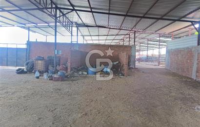 MANİSA AHMETLİ İLÇESİ YARAŞLI MAH. DE SATILIK RUHSATLI ÇİFTLİK