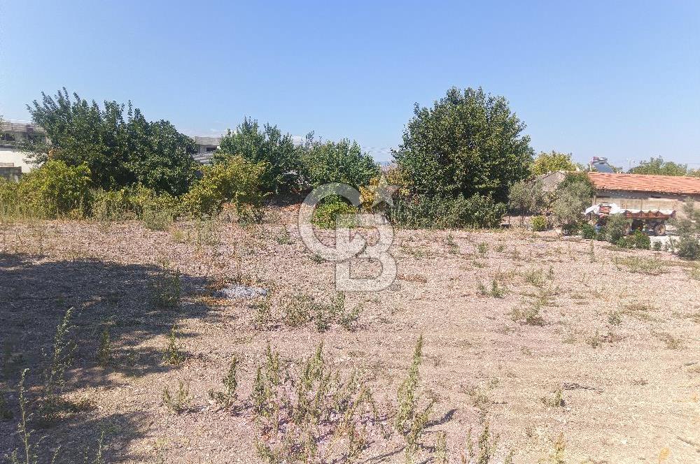 KIRKAĞAÇ ŞAİR EŞREFTE SATILIK 465m2 İMARLI ARSA