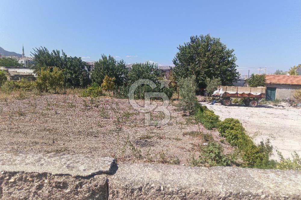 KIRKAĞAÇ ŞAİR EŞREFTE SATILIK 465m2 İMARLI ARSA