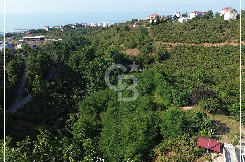 TRABZON BULAK'DA SATILIK 5.438 M2 ARAZİ