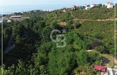 TRABZON BULAK'DA SATILIK 5.438 M2 ARAZİ