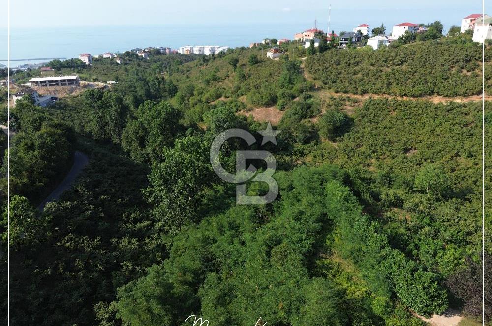 TRABZON BULAK'DA SATILIK 5.438 M2 ARAZİ