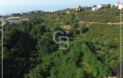 TRABZON BULAK'DA SATILIK 5.438 M2 ARAZİ
