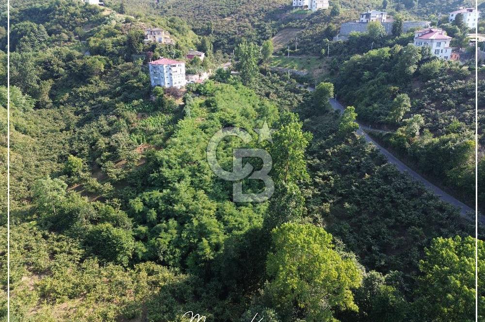 TRABZON BULAK'DA SATILIK 5.438 M2 ARAZİ